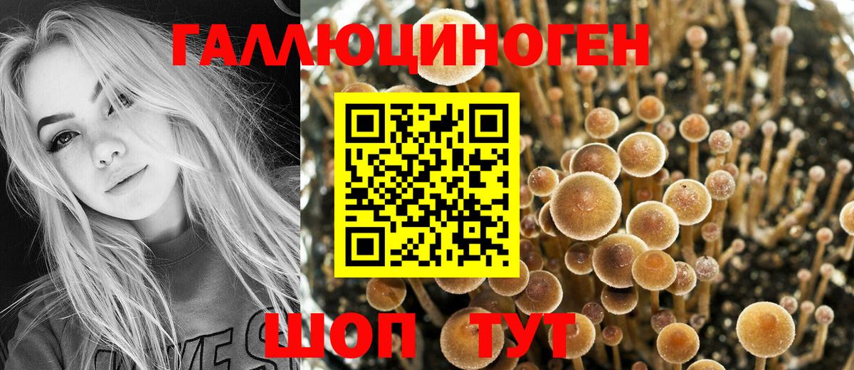 Новоалтайск  Псилоцибиновые грибы Magic Shrooms  Вход с VPN 